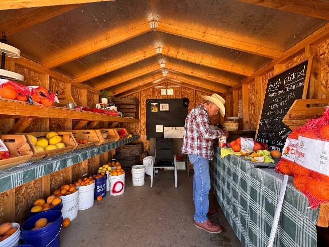 Citrus Stand in Orange Cove, California